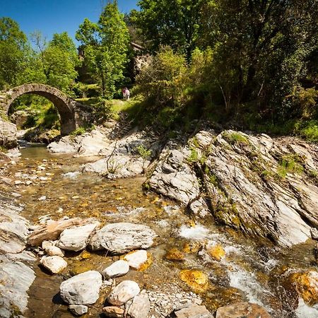 Transgardon B&B En Cevennes Saint-Privat-de-Vallongue Экстерьер фото