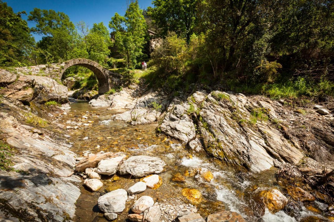 Transgardon B&B En Cevennes Saint-Privat-de-Vallongue Экстерьер фото