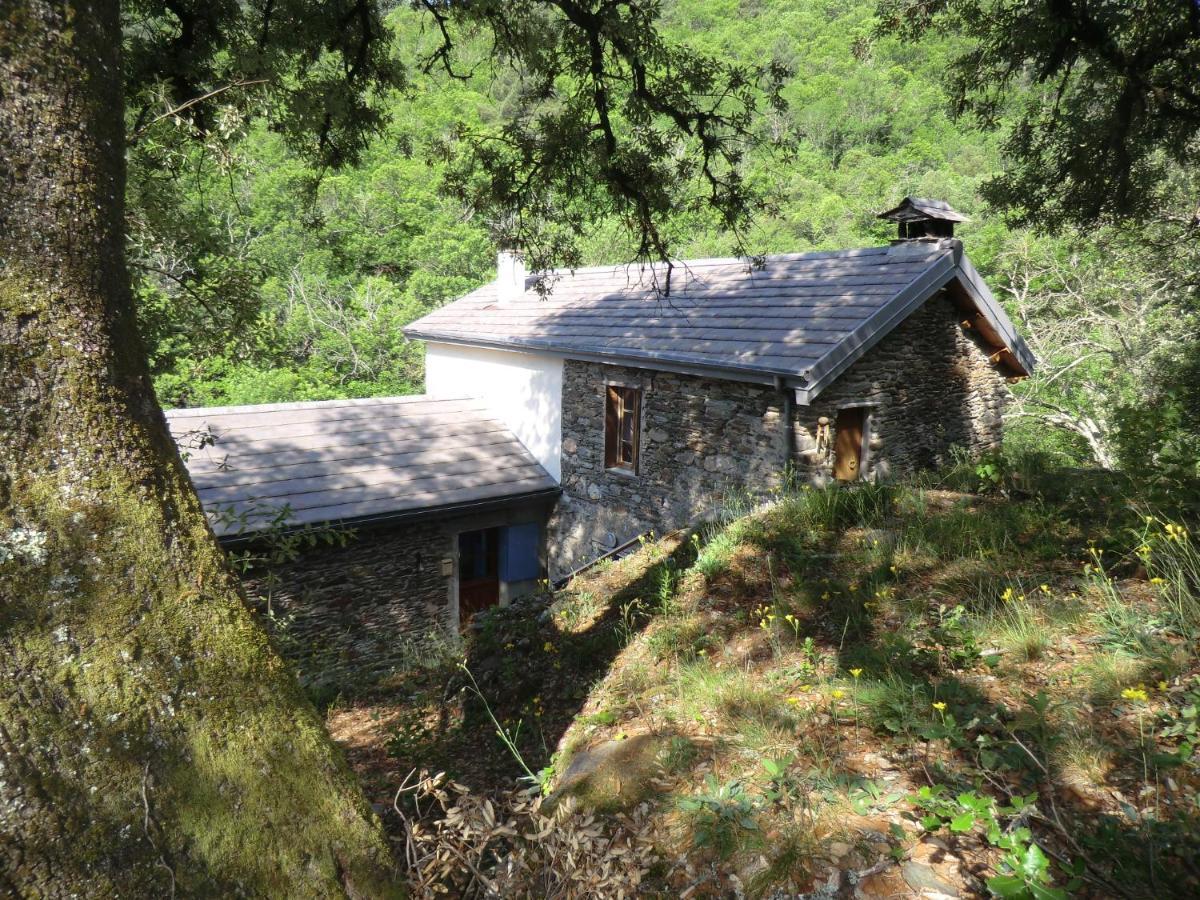 Transgardon B&B En Cevennes Saint-Privat-de-Vallongue Экстерьер фото