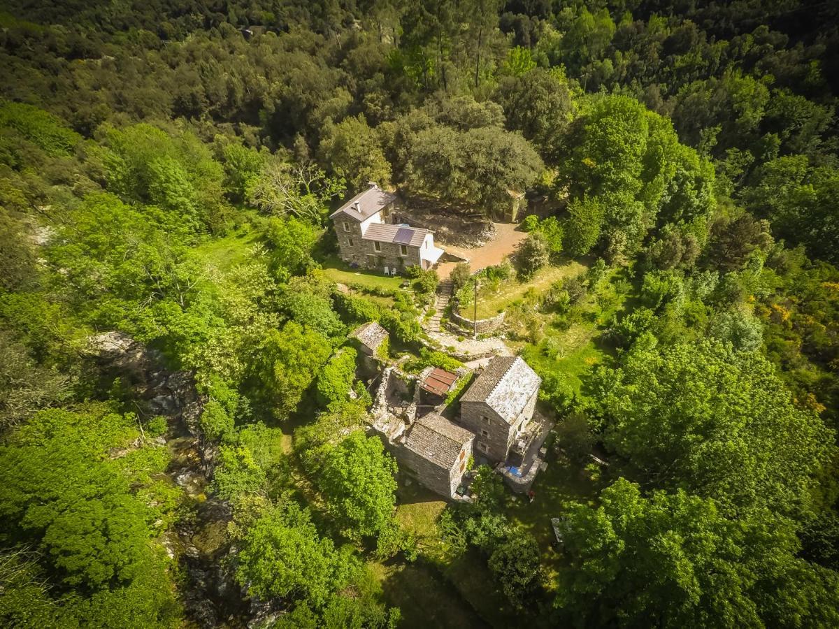 Transgardon B&B En Cevennes Saint-Privat-de-Vallongue Экстерьер фото