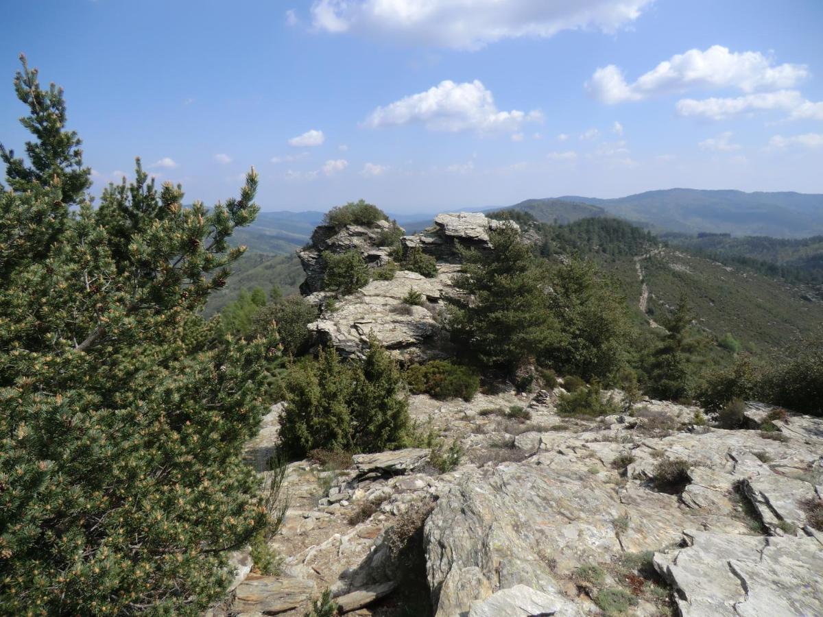 Transgardon B&B En Cevennes Saint-Privat-de-Vallongue Экстерьер фото